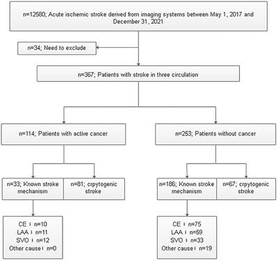 Frontiers | Cancer-related cryptogenic stroke involving the bilateral ...