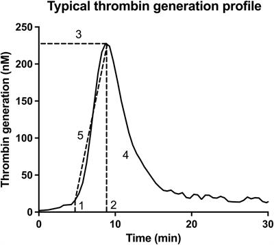 Thrombin generation and implications for hemophilia therapies: A