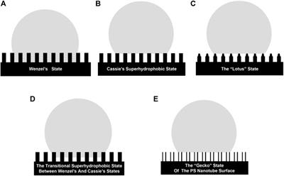 Recent Advances in Superhydrophobic and Antibacterial Cellulose