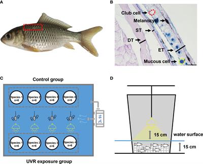The defense responses of aquatic animals to the environment | Frontiers Research Topic The defense responses of aquatic animals to the environment | Frontiers Research Topic