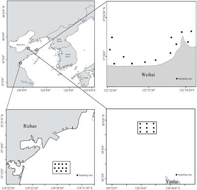 Frontiers  Application of light-emitting diodes (LEDs) fishing lights to  improve catch rates of small-scale trammel net fishery in the Yellow Sea,  China