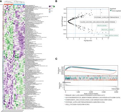 Frontiers | Gene expression analysis in endometriosis: Immunopathology ...