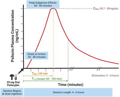 Psilocybin and magic mushrooms: Effects and risks