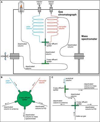 Frontiers | GC-MS/FID/EAD: A method for combining mass spectrometry ...