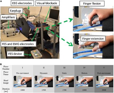 Frontiers  The Use of Functional Electrical Stimulation on the