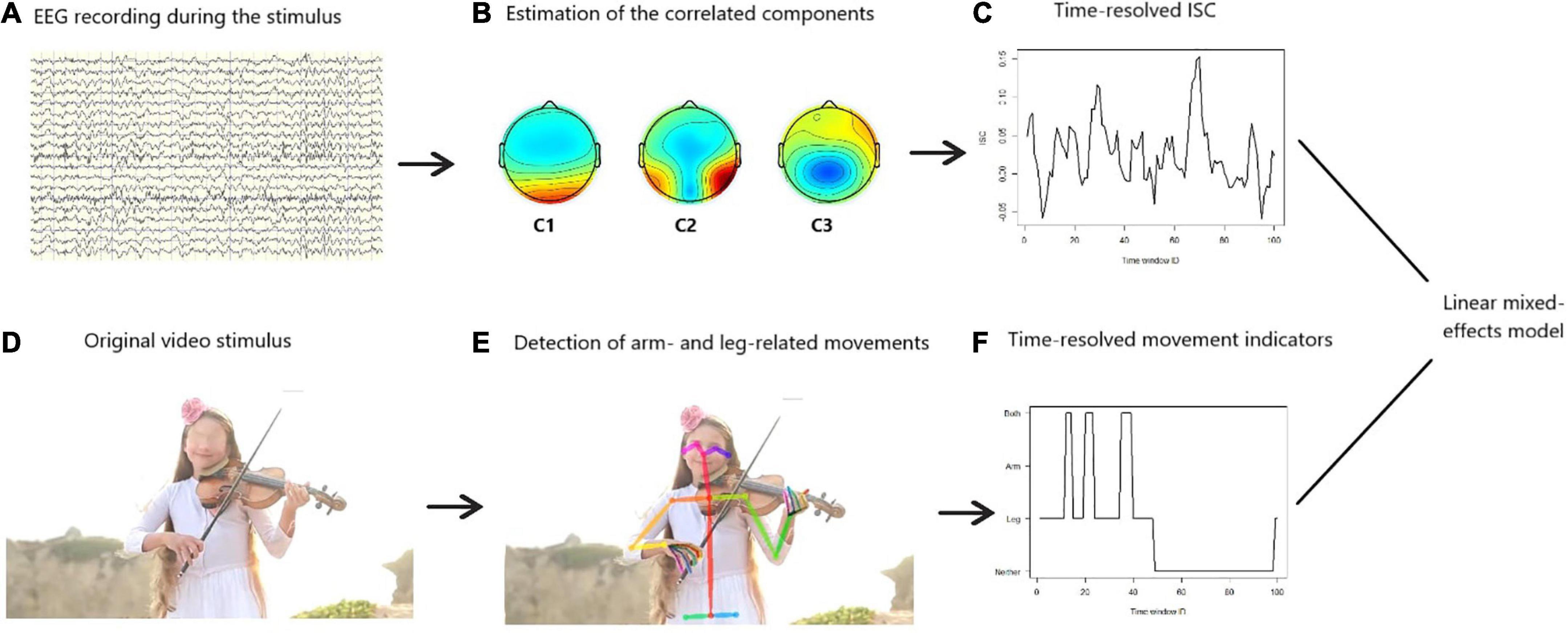 Frontiers  Developmental differences in the perception of naturalistic  human movements