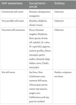 Qual é a diferença entre self awareness e self consciousness ?