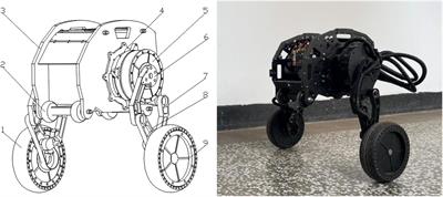 One-Legged Jumping Robot Shows That Control Is Everything