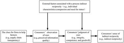 Frontiers  Do you reap what you sow? Driving mechanism of supply chain  transparency on consumers' indirect reciprocity