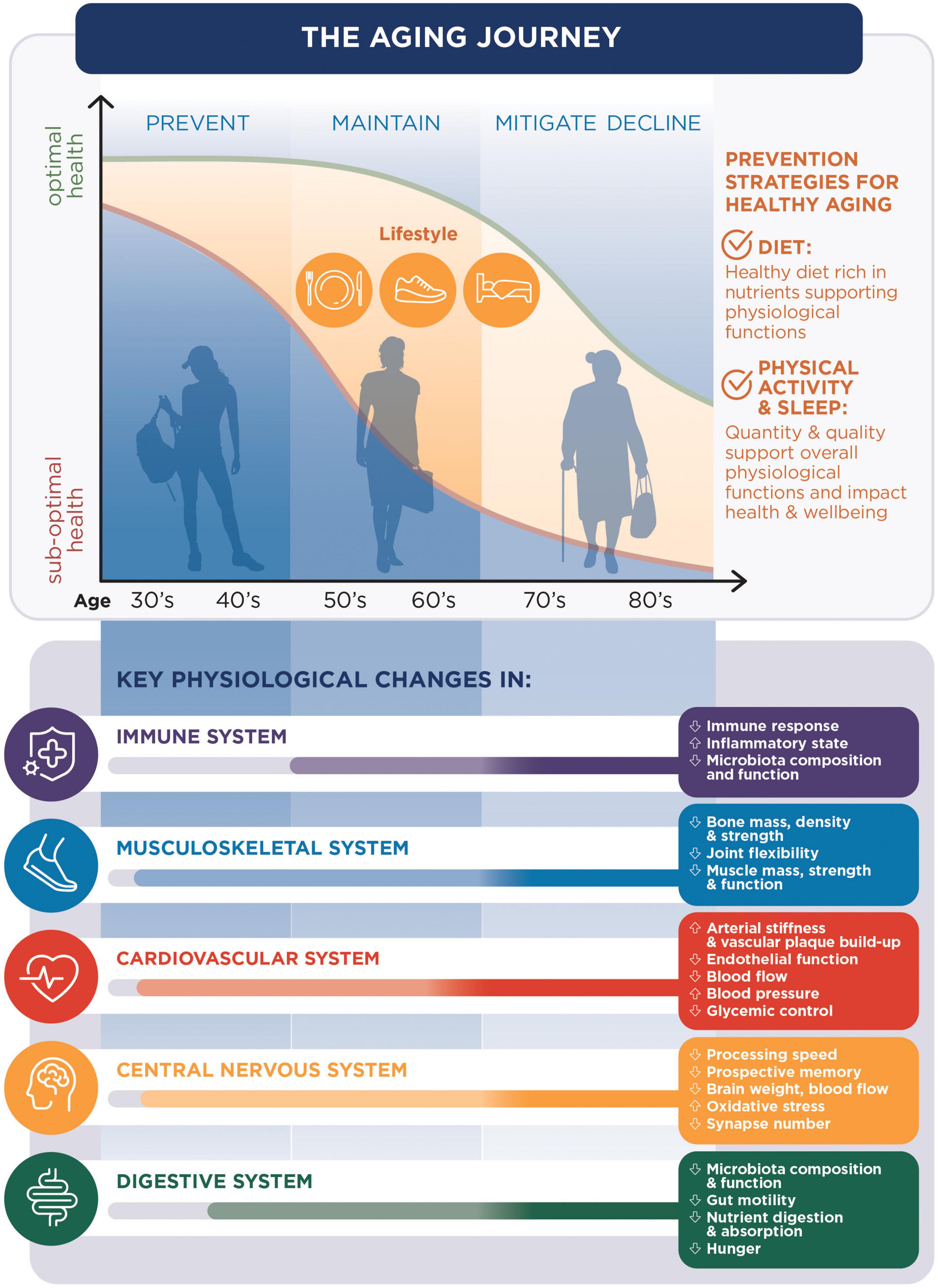 Frontiers  Nutritional and lifestyle management of the aging journey: A  narrative review