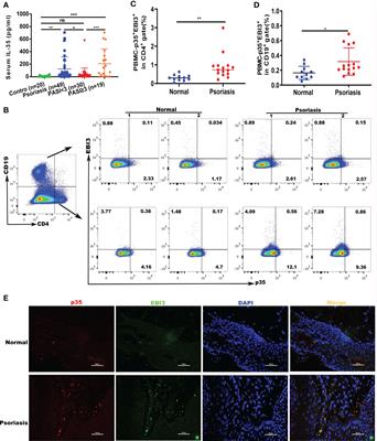 Ada Khan Porn Sex Hd - Inducible nitric oxide synthase-expressing myeloid-derived suppressor cells  regulated by interleukin 35 contribute to the pathogenesis of psoriasis -  Frontiers