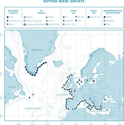 Sourcing Map  Nautic Seafood
