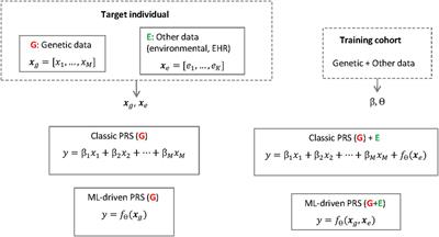 Frontiers  Ethical layering in AI-driven polygenic risk scores—New  complexities, new challenges