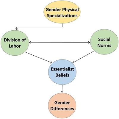 Frontiers gender differences with gender equality: A systematic-narrative literature of basic skills and personality