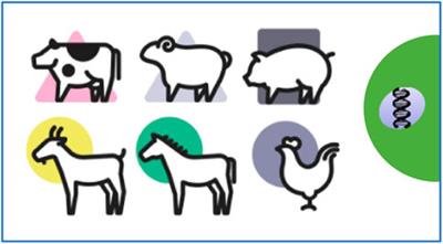 Traditional and Up-to-date Genomic Insights into Domestic Animal Diversity | Frontiers Research Topic Traditional and Up-to-date Genomic Insights into Domestic Animal Diversity | Frontiers Research Topic