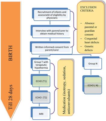 Frontiers  Hemodynamic and Metabolic Assessment of Neonates With