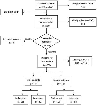 Frontiers  Effect of the serum 25-hydroxyvitamin D level on risk for  short-term residual dizziness after successful repositioning in benign  paroxysmal positional vertigo stratified by sex and onset age