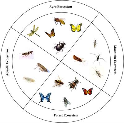 II. Importance of Understanding Insect Habitats