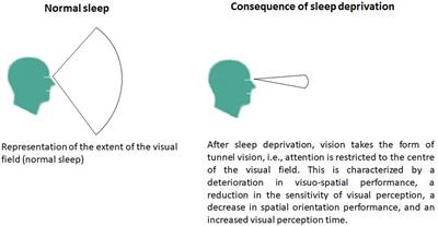 The impact of low vision on social function: The potential importance of  lost visual social cues - ScienceDirect