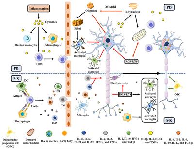 Frontiers  Therapeutic Advances in Multiple Sclerosis