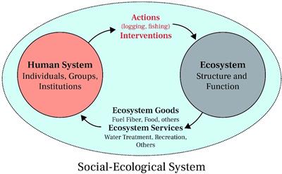 Frontiers  Climate change adaptation strategies for small-scale Hilsa  fishers in the coastal area of Bangladesh: social, economic, and ecological  perspectives