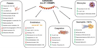 Staphylococcus aureus and Neutrophil Extracellular Traps: The Master  Manipulator Meets Its Match in Immunothrombosis