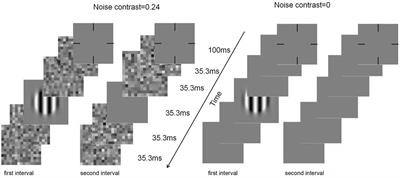 Frontiers | Short-term monocular pattern deprivation reduces the ...