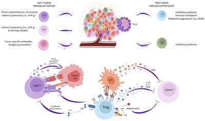 The Reason Cancer Evades Your Immune System So Incredibly Well