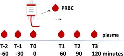 Frontiers | Red blood cell transfusion-related eicosanoid profiles in intensive care patients—A prospective, feasibility