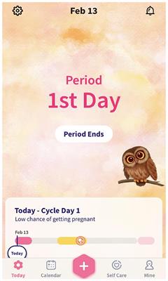 Reimagining the cycle: interaction in self-tracking period apps and menstrual empowerment Reimagining the cycle: interaction in self-tracking period apps and menstrual empowerment