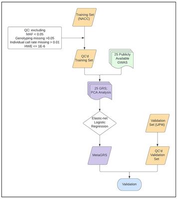 New insights into the genetic etiology of Alzheimer's disease and related  dementias