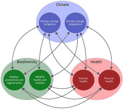 PDF) A functional vulnerability framework for biodiversity conservation