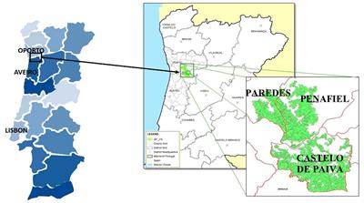 Mapa florestal portugal