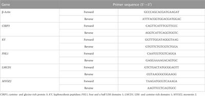 Probability Comparison: Free Robux