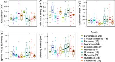 Plastic responses of below‐ground foraging traits to soil phosphorus‐rich  patches across 17 coexisting AM tree species in a subtropical forest - Zhu  - 2023 - Journal of Ecology - Wiley Online Library