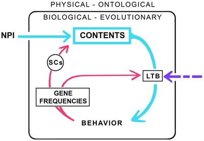 Consciousness and its hard problems: separating the ontological from the evolutionary