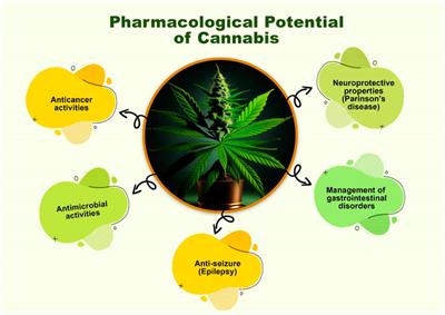 A Complete Guide to Cannabis Measurements and Weights