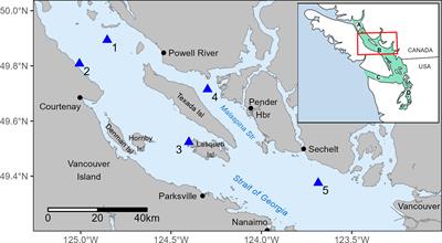 Patterns of winter occurrence of three sympatric killer    Frontiers