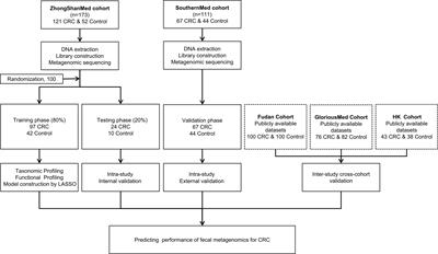 Frontiers  Taxonomical composition and functional analysis of