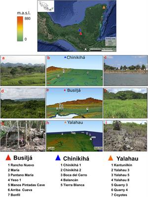 Frontiers  Soil toposequences, soil erosion, and ancient Maya