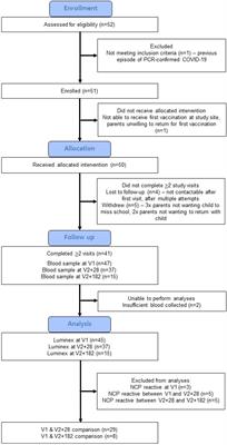 Frontiers | BNT162b2 COVID-19 vaccination in children alters cytokine responses to heterologous pathogens and Toll-like receptor agonists