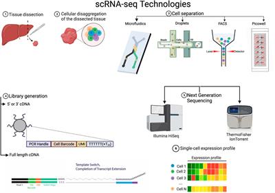 Virus signature of specimens assigned by Ikarus