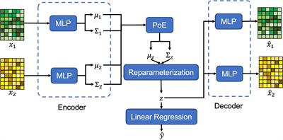 Frontiers | Multi-view information fusion using multi-view variational ...