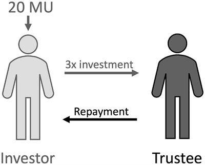 It Takes Two: Examining the Dynamic Nature of Cooperative Behaviour in Adolescents