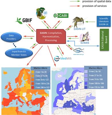 Frontiers  Marine invasive alien species in Europe: 9 years after the IAS  Regulation