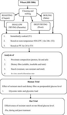 Physiological effects of resistant starch and its applications in food: a  review, Food Production, Processing and Nutrition