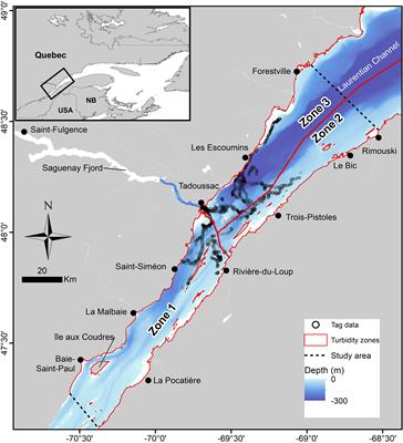 Frontiers  Environmental, behavioral, and design-related factors affect  accuracy and precision of beluga abundance estimates from aerial surveys
