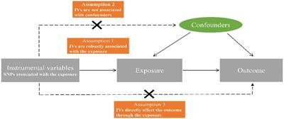 Celiac Disease and Attention-Deficit/Hyperactivity Disorder: A Bidirectional Mendelian Randomization Analysis