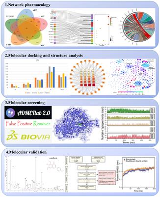 Identification of inhibitors from a functional food-based plant Perilla Folium against hyperuricemia via metabolomics profiling, network pharmacology and all-atom molecular dynamics simulations