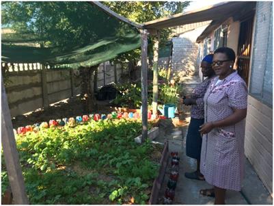 Adoption and desirable characteristics of Information and Communication Technologies for urban small-scale food producers in South Africa